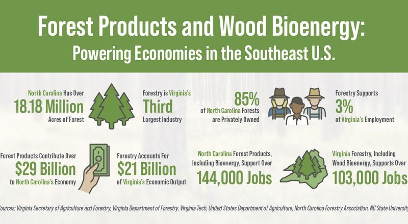 Forest products help power local economies