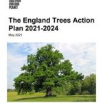 England Trees Action Plan omits bioenergy
