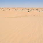 CWP plans 30GW wind and solar power-to-x in Mauritania