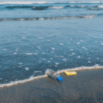 How To Reduce Microplastics🤔 – Can We Recycle Them?