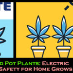 The Power Behind Pot Plants: Electric Companies Urge Safety for Home Grows • Oakland County Times - Oakland County Times