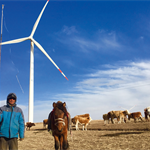Chinese wind power additions up 72% in first half of 2021