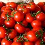 Great demand for geothermal greenhouse tomatoes from Turkey