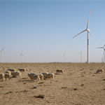 China’s thirst for power boosts Wood Mackenzie’s 2030 wind forecast