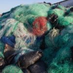 Schneider Electric introduces home energy solutions made from recycled ocean plastics - Recycling Today