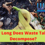 How Long Does Landfill Take To Decompose? ♻️ Podcast Ep. 15 Don’t Be A Waster