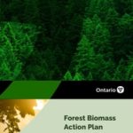 Ontario launches Forest Biomass Action Plan