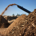 UGA: Burning woody biomass in power plants could reduce carbon