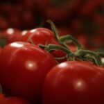 Turkiye’s cheapest tomato is produced with geothermal energy