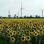 Ukrainian developer: ‘All our wind farms are under occupation’