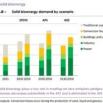 IEA report offers scenarios for increased modern bioenergy use