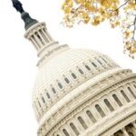 BPA applauds biomass provisions in NDAA, omnibus bills