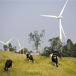 Maine approves 1GW onshore wind farm and transmission line
