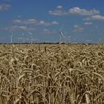Ukraine’s DTEK installs '100MW wind capacity' despite Russian war