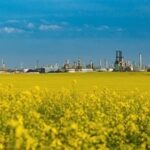 Canadian biorefinery to install Fluor's carbon capture technology