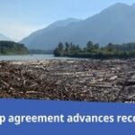 Wood collected by BC debris trap could be used for bioenergy