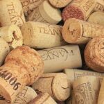 Cork Recycling: How Do You Properly Dispose Of Them? 🍾