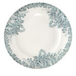 Can You Recycle China Plates? What To Do With Your Discarded Crockery 🍽️