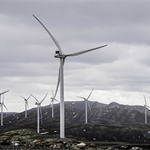 Fosen wind farm owners pay to end legal battle with Sami reindeer herders