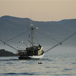 California fishing groups sue wind developers to delay marine surveys