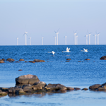 Equity firm makes €1.4 billion bid for Swedish wind developer OX2