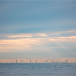 Netherlands to miss offshore wind target amid grid and supply chain challenges