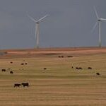 Alberta wind farm plans scrapped as ‘pristine viewscape’ rule change hits