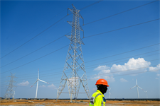Divergent prices inflicting ‘pain’ on wind farm developers – International Energy Agency Divergent prices inflicting ‘pain’ on wind farm developers – International Energy Agency